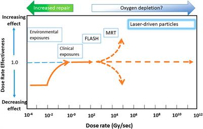 Frontiers | Radiobiology Experiments With Ultra-high Dose Rate Laser ...